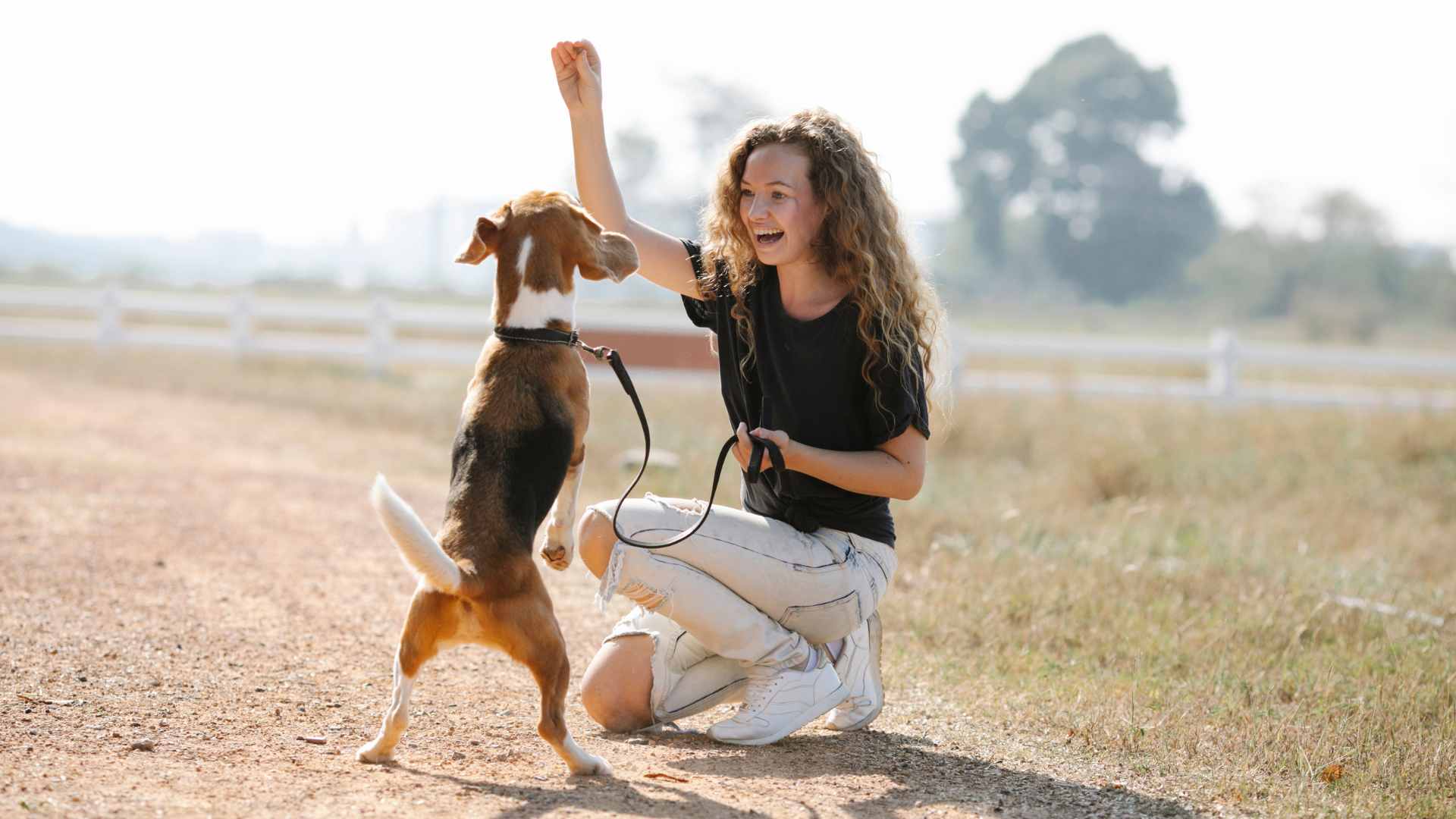 Entrenador de Perros: En Qué Fijarte al Contratar Uno