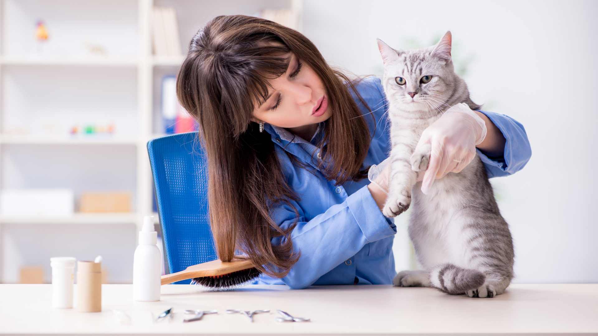 Hongos en Gatos: Causas, Tratamiento y Prevención