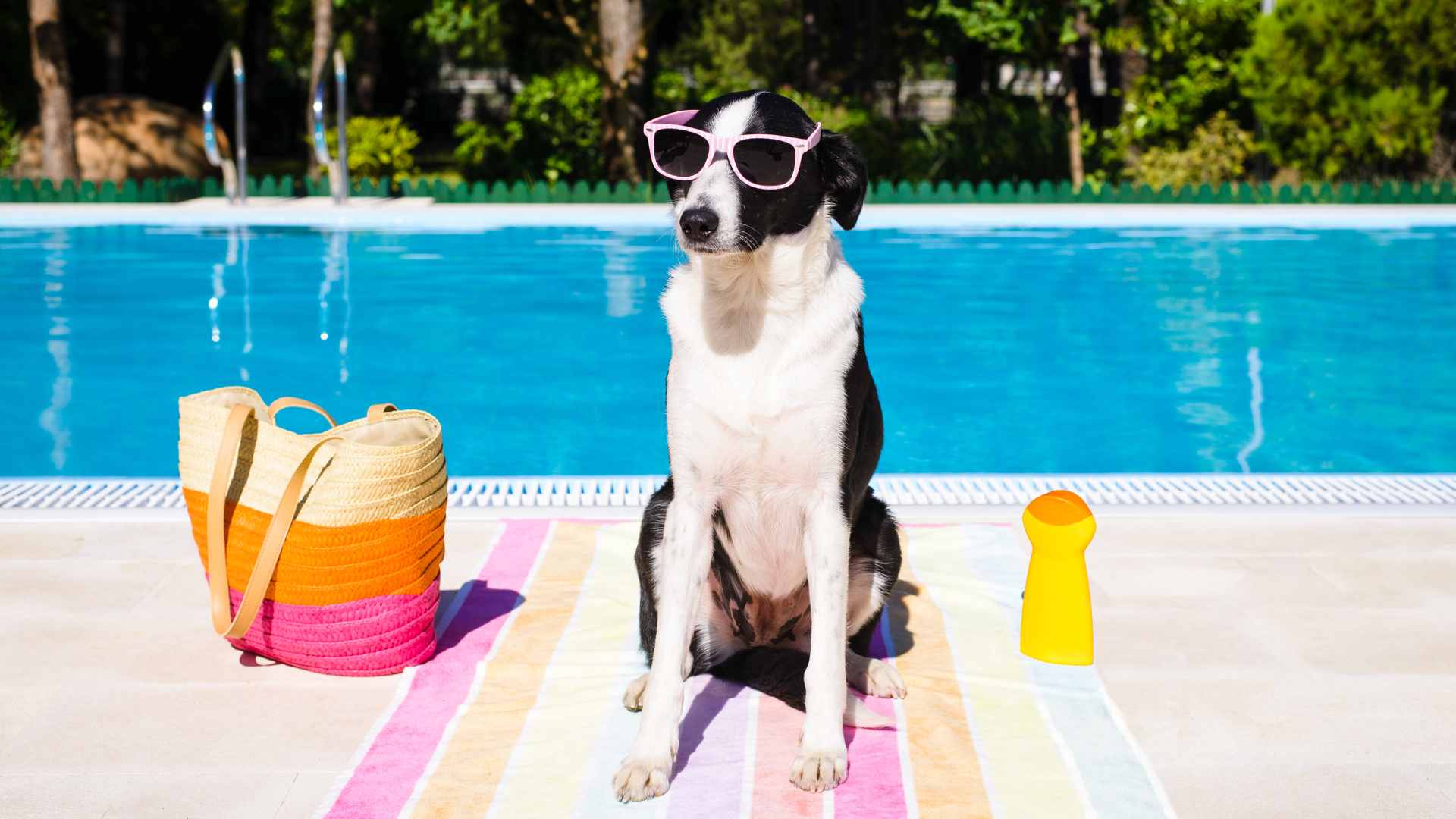 Shock de Calor: Cómo Prevenirlo