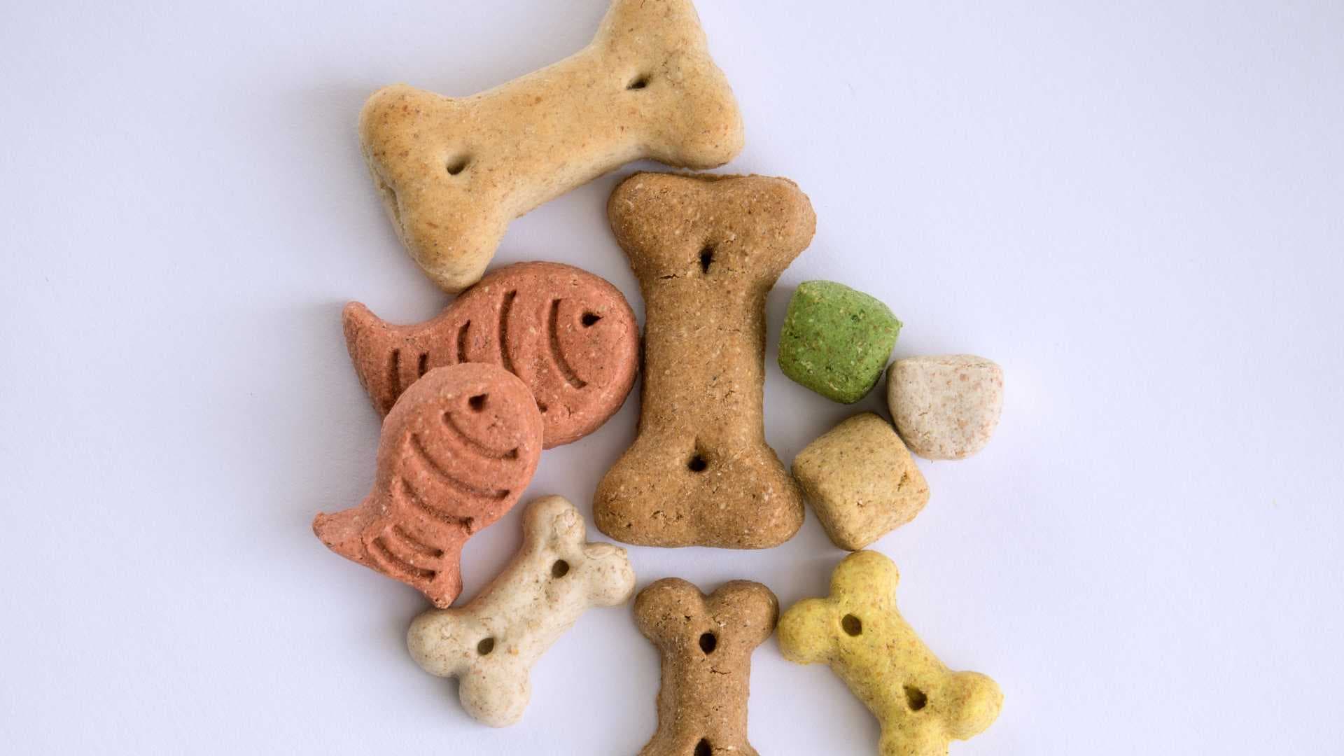 Snacks Saludables para Perros: Las Mejores Recetas