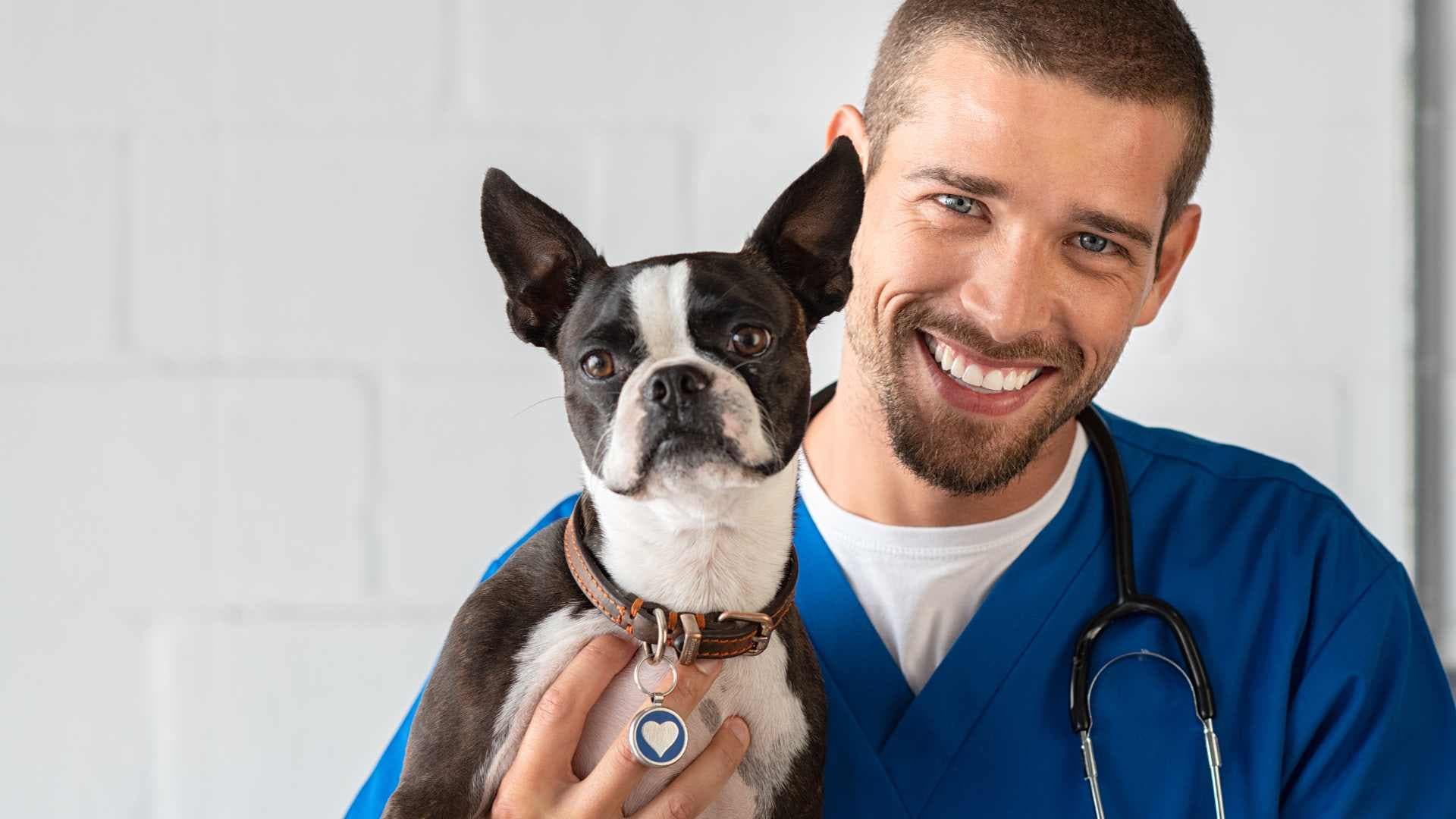 Veterinarias a Domicilio en Santiago: Contactos
