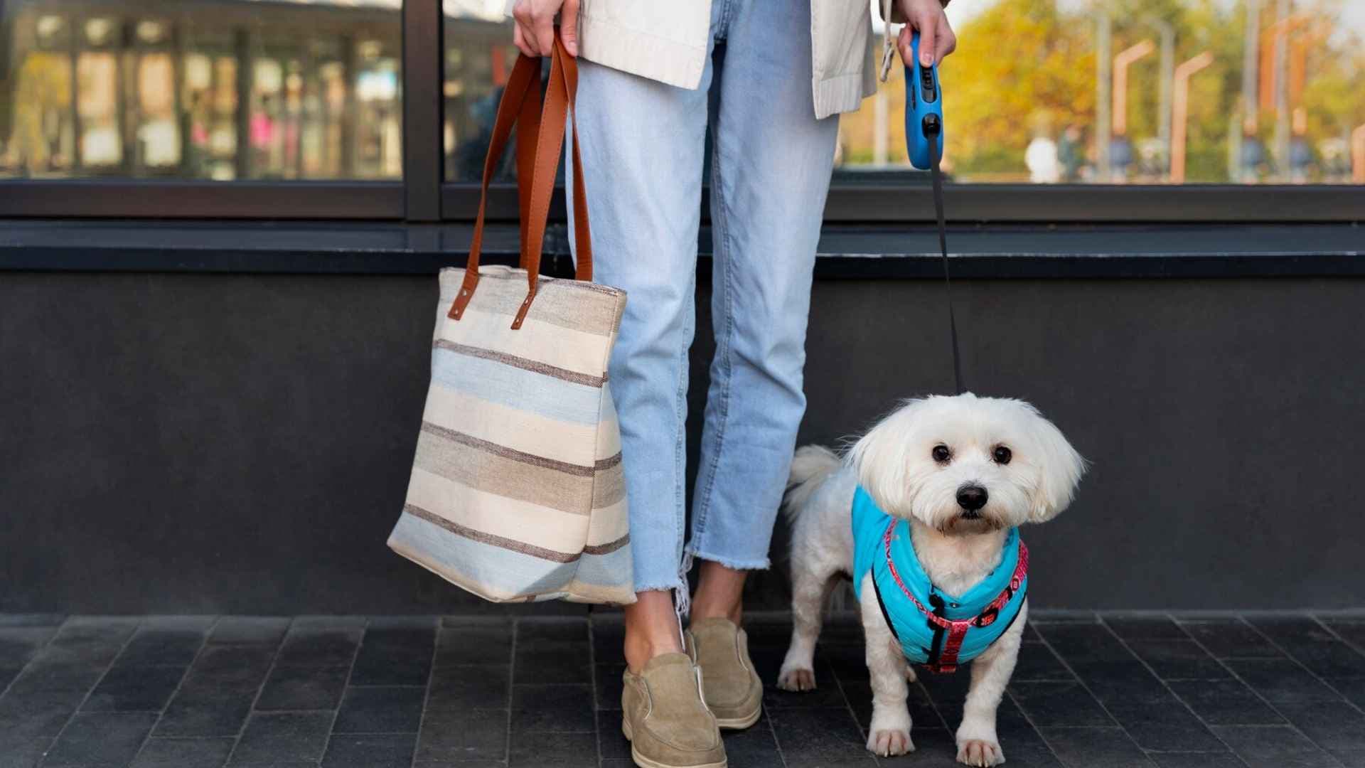Supermercados Pet Friendly en Chile