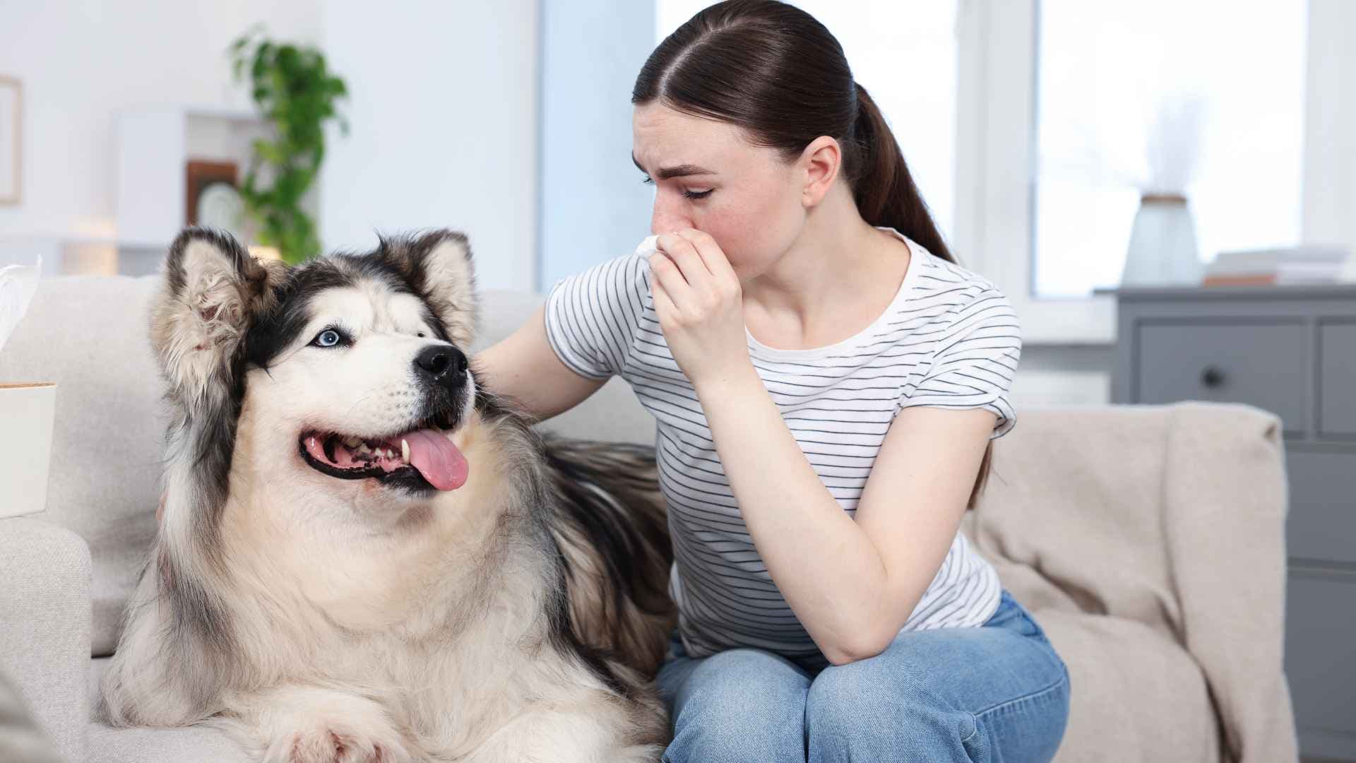 ¿Qué cubre un seguro de responsabilidad civil para perros?