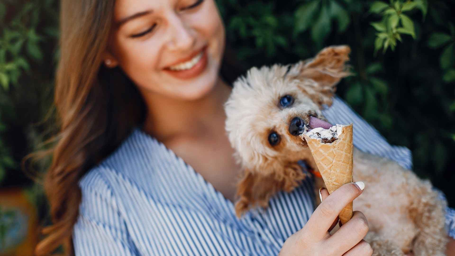 Alimentos que pueden provocar convulsiones en perros: guía práctica para tutores