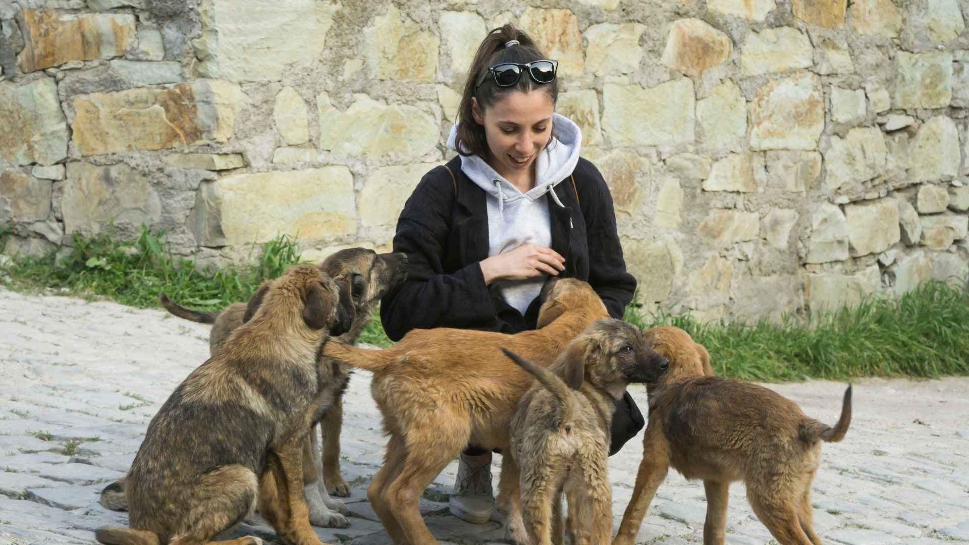 Animal lover: qué significa serlo (y cómo se nota en el día a día)