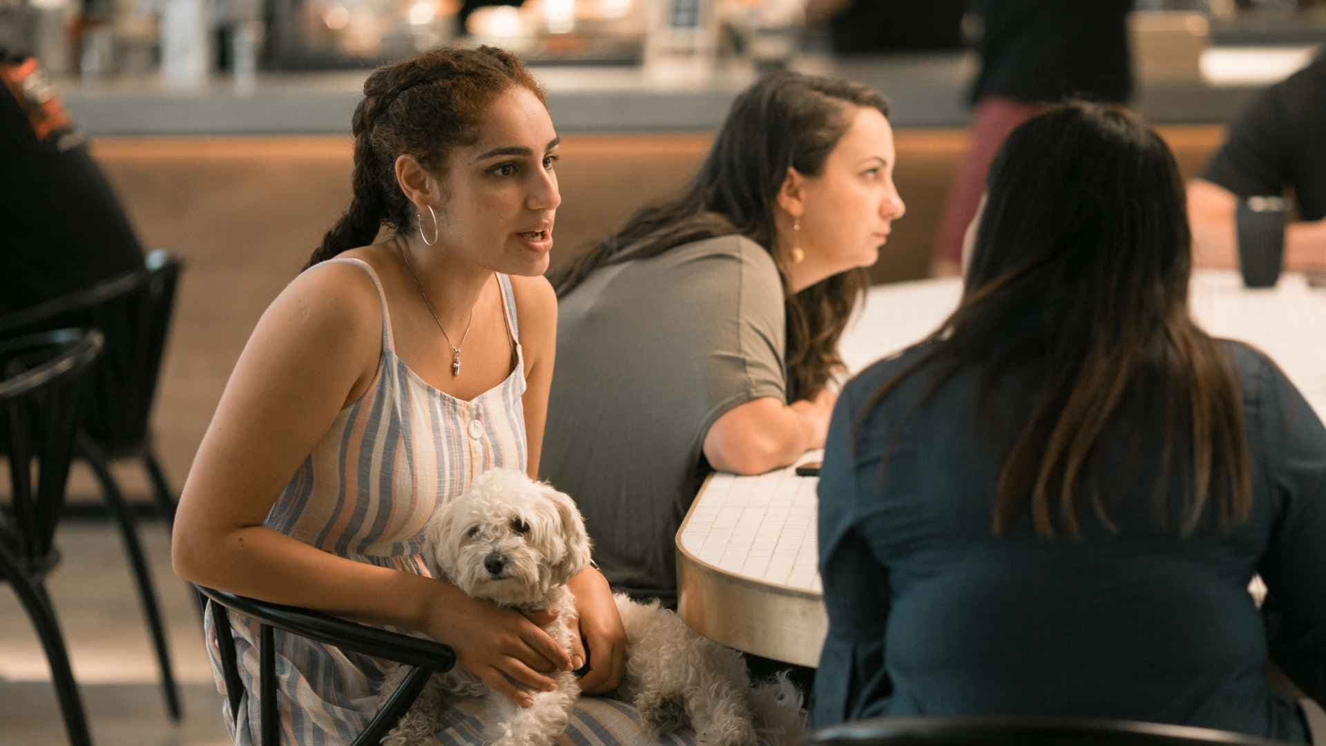 Cafeterías pet friendly en Vitacura: dónde ir con tu mascota