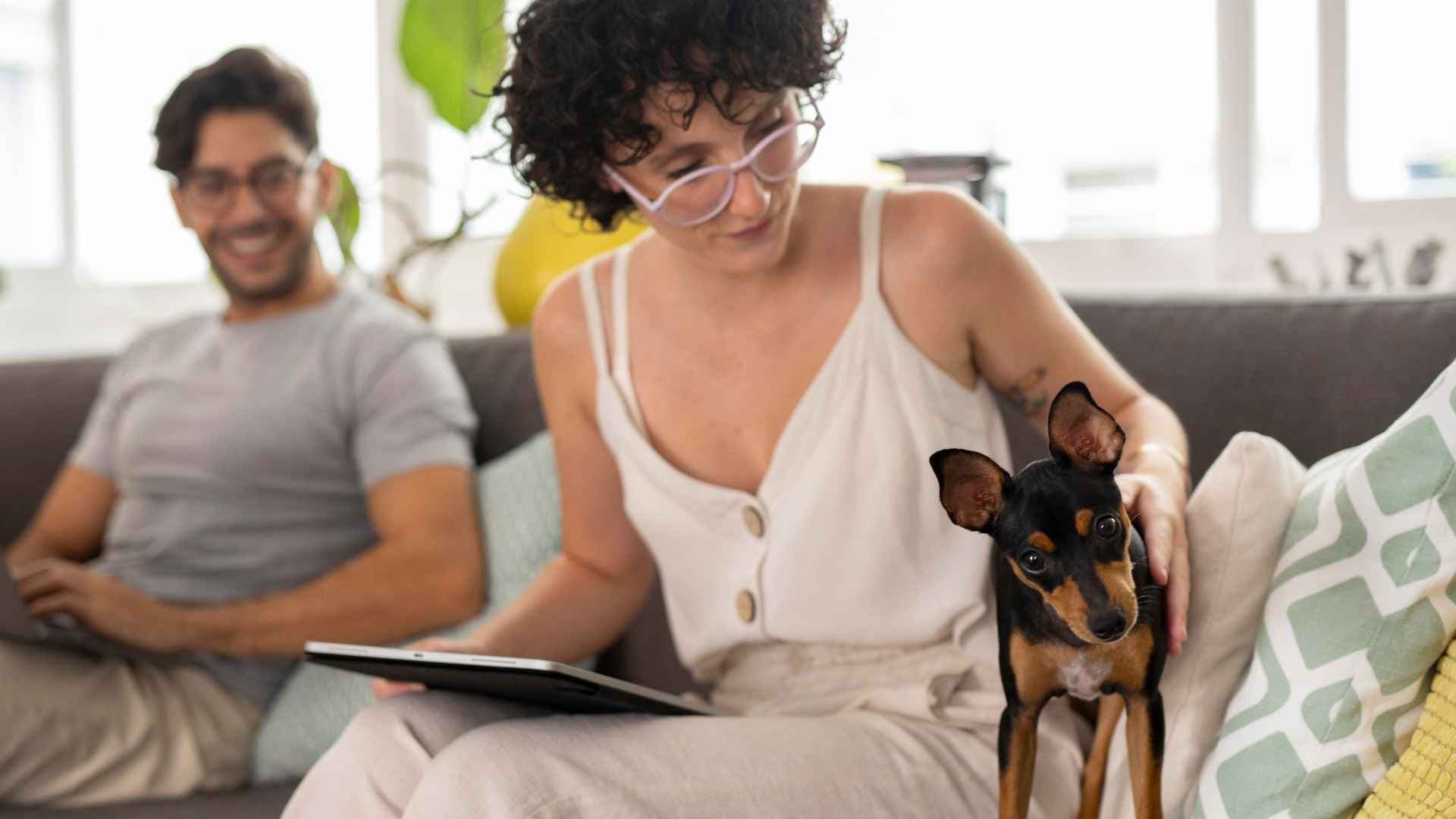 Cómo saber si mi perra está embarazada: guía práctica para tutores primerizos