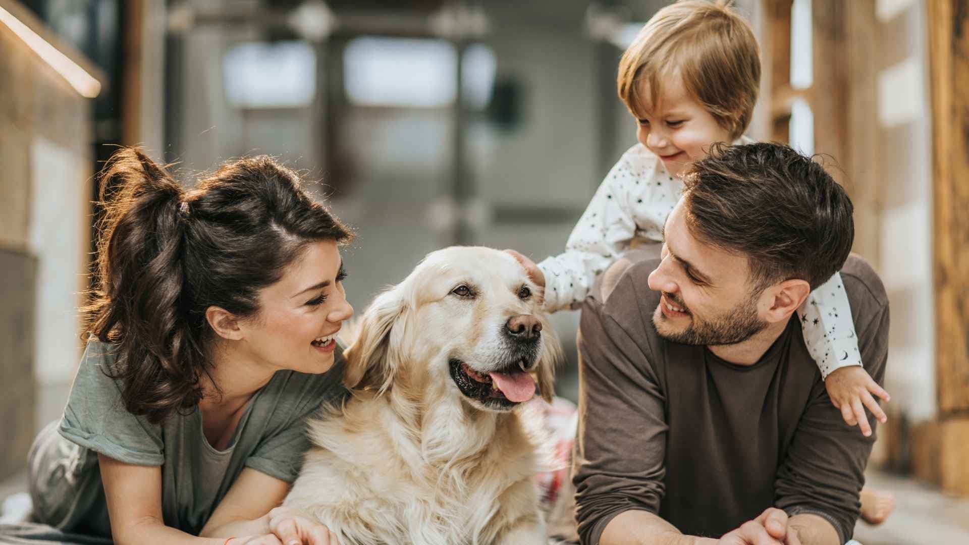 Familia Multiespecie: La Nueva Forma de Entender el Hogar