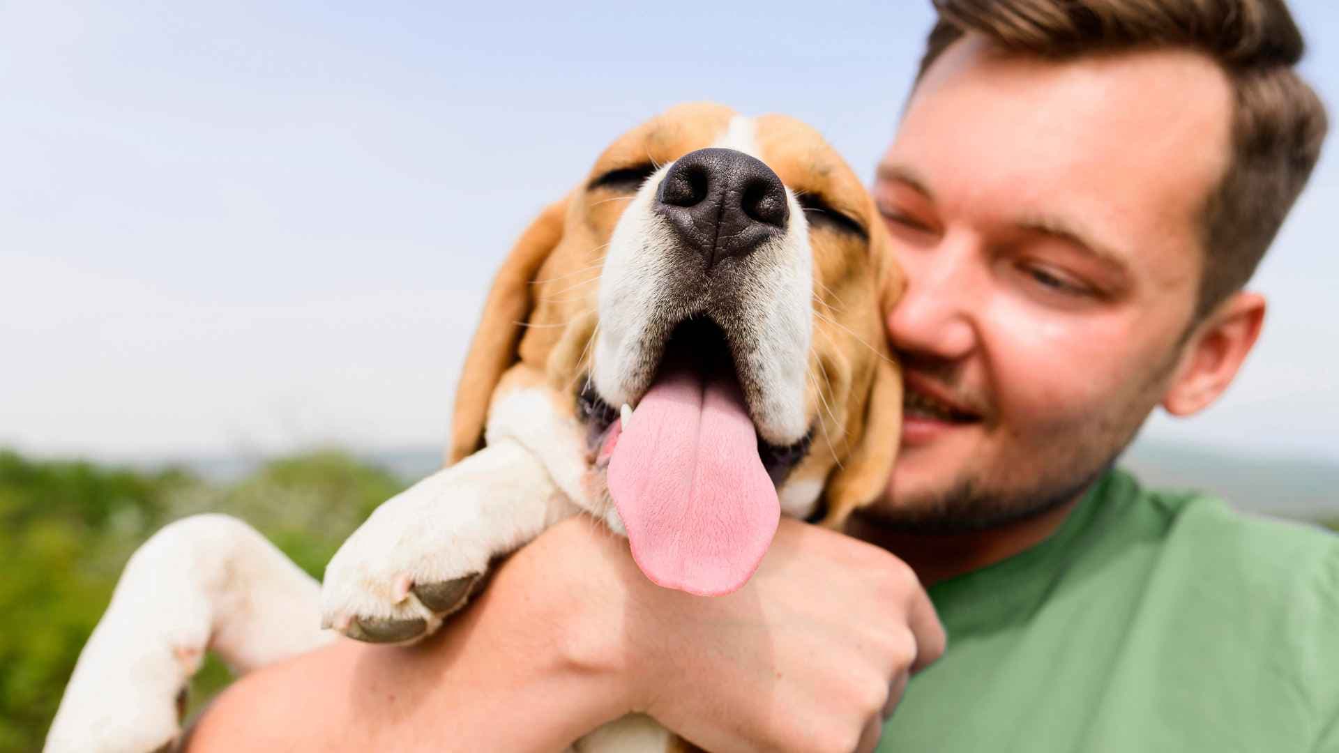 Mejores caniles de Ñuñoa: para disfrutar con tu perro