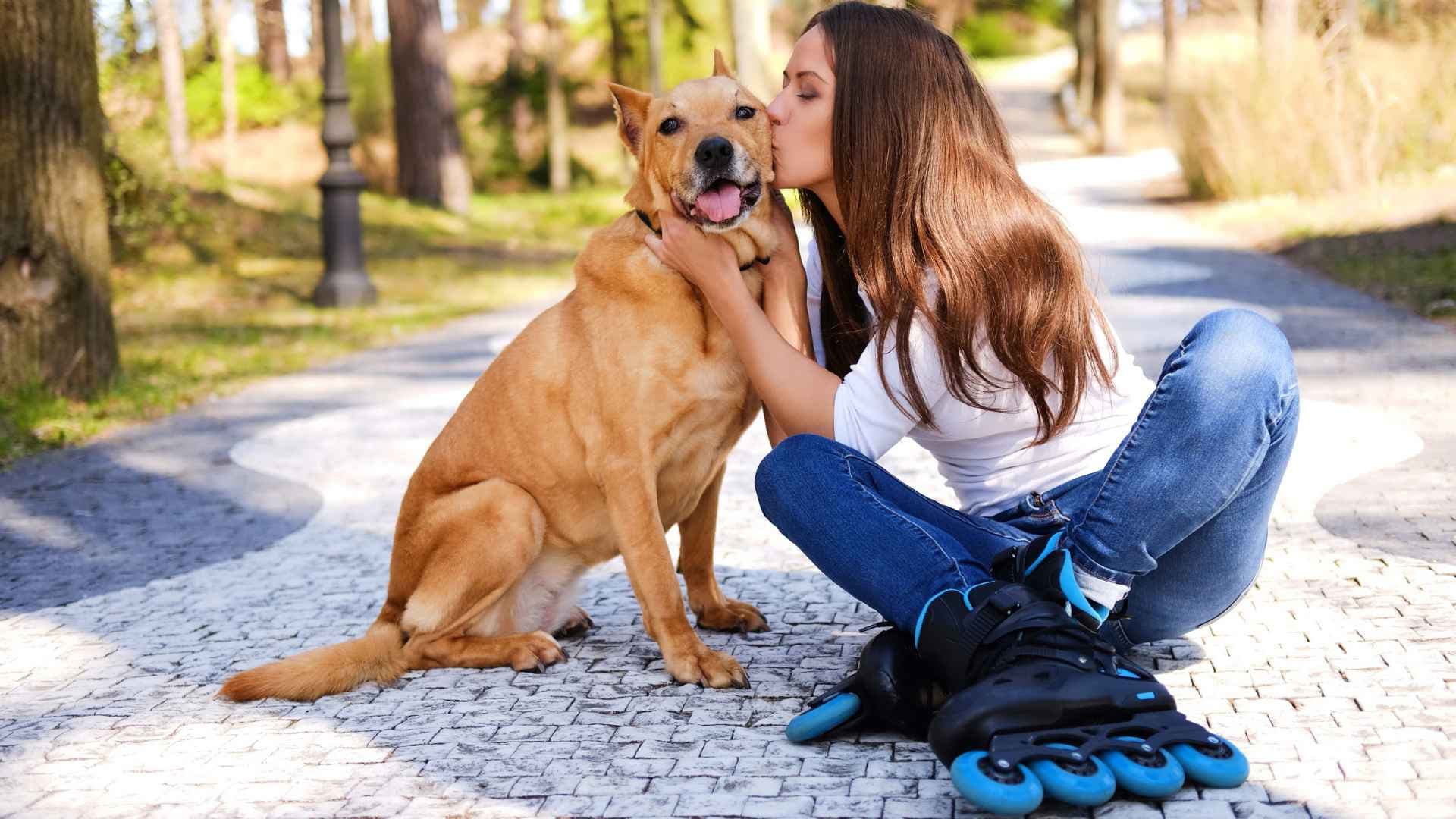 Mejores caniles de Vitacura: dónde llevar a tu perro