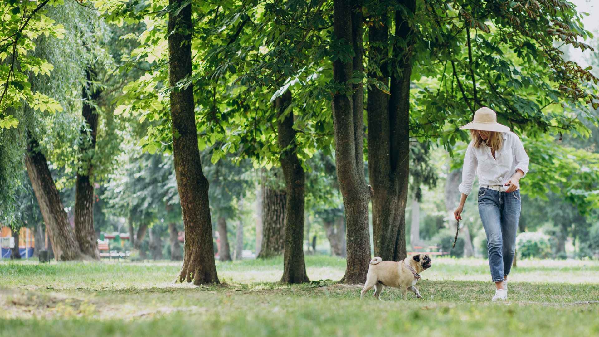 Parques pet friendly en Las Condes: guía rápida para disfrutar con tu mascota