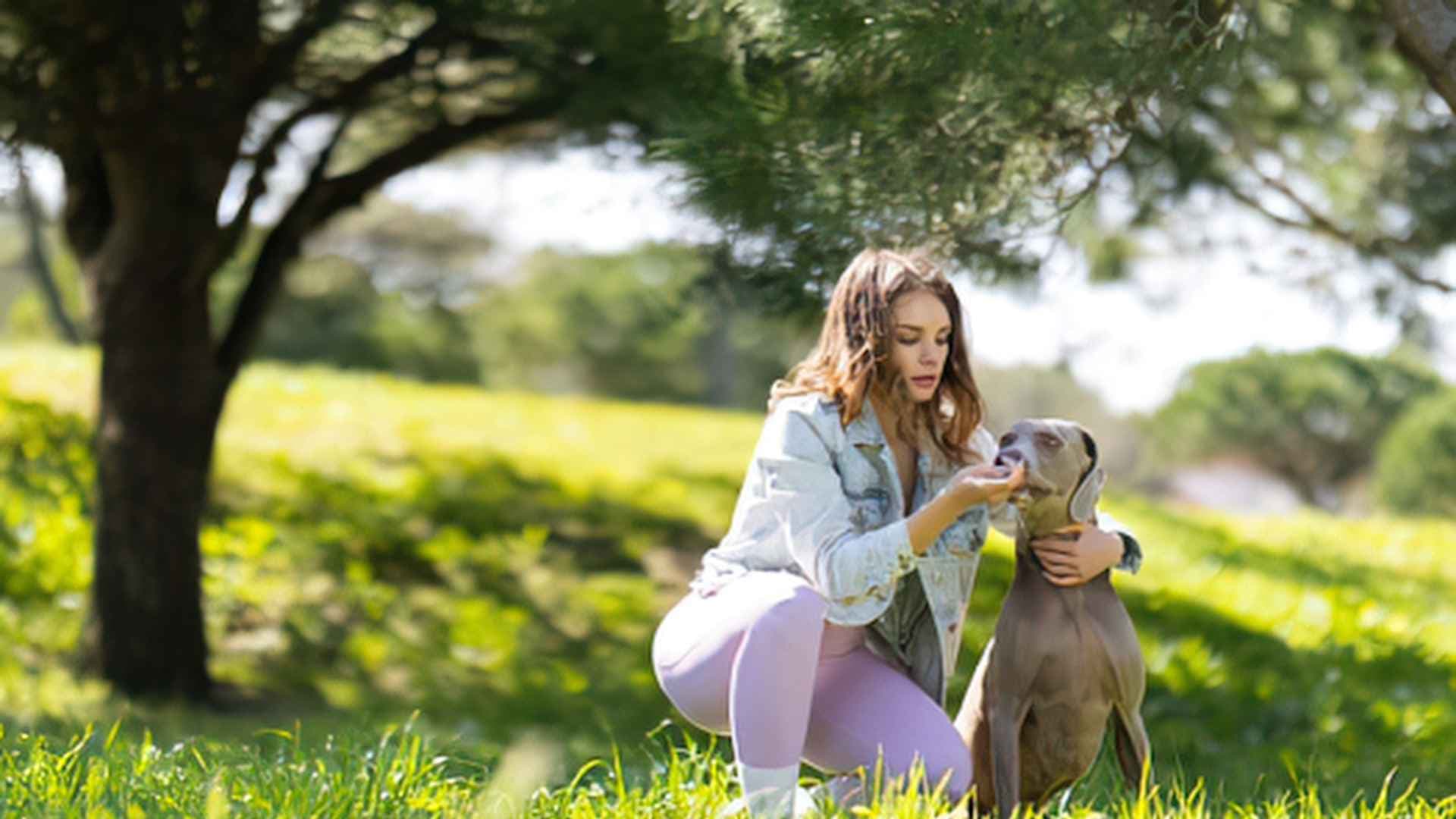 Parques pet friendly en Vitacura: los mejores para pasear con tu perro