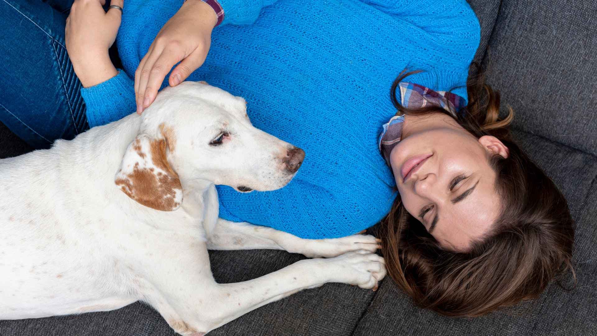 Pasiflora para perros: Dosis, beneficios y contraindicaciones (Guía completa)
