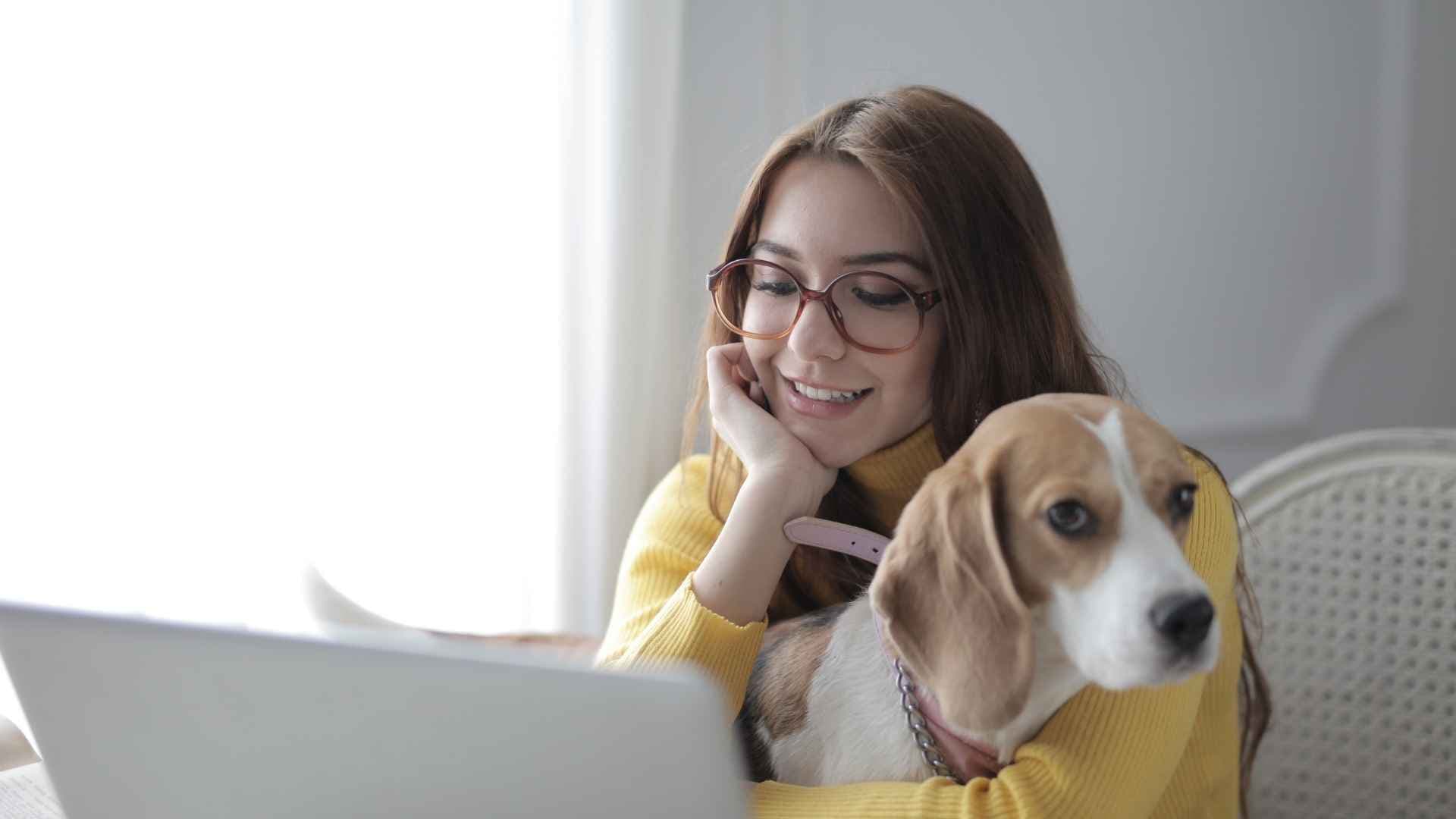 Veterinario online: cuándo sirve una teleconsulta